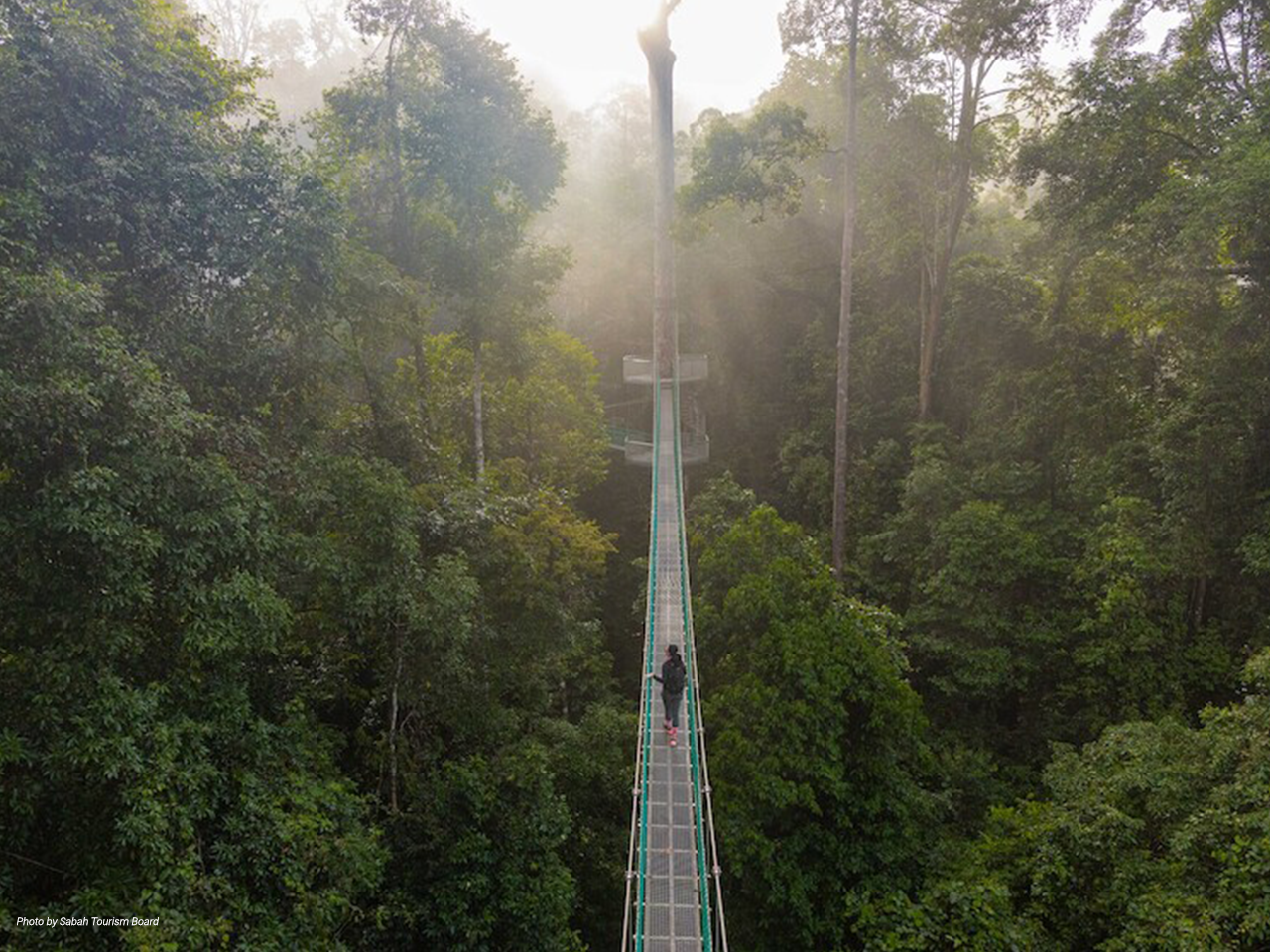 Danum Valley Conservation Area, Lahad Datu