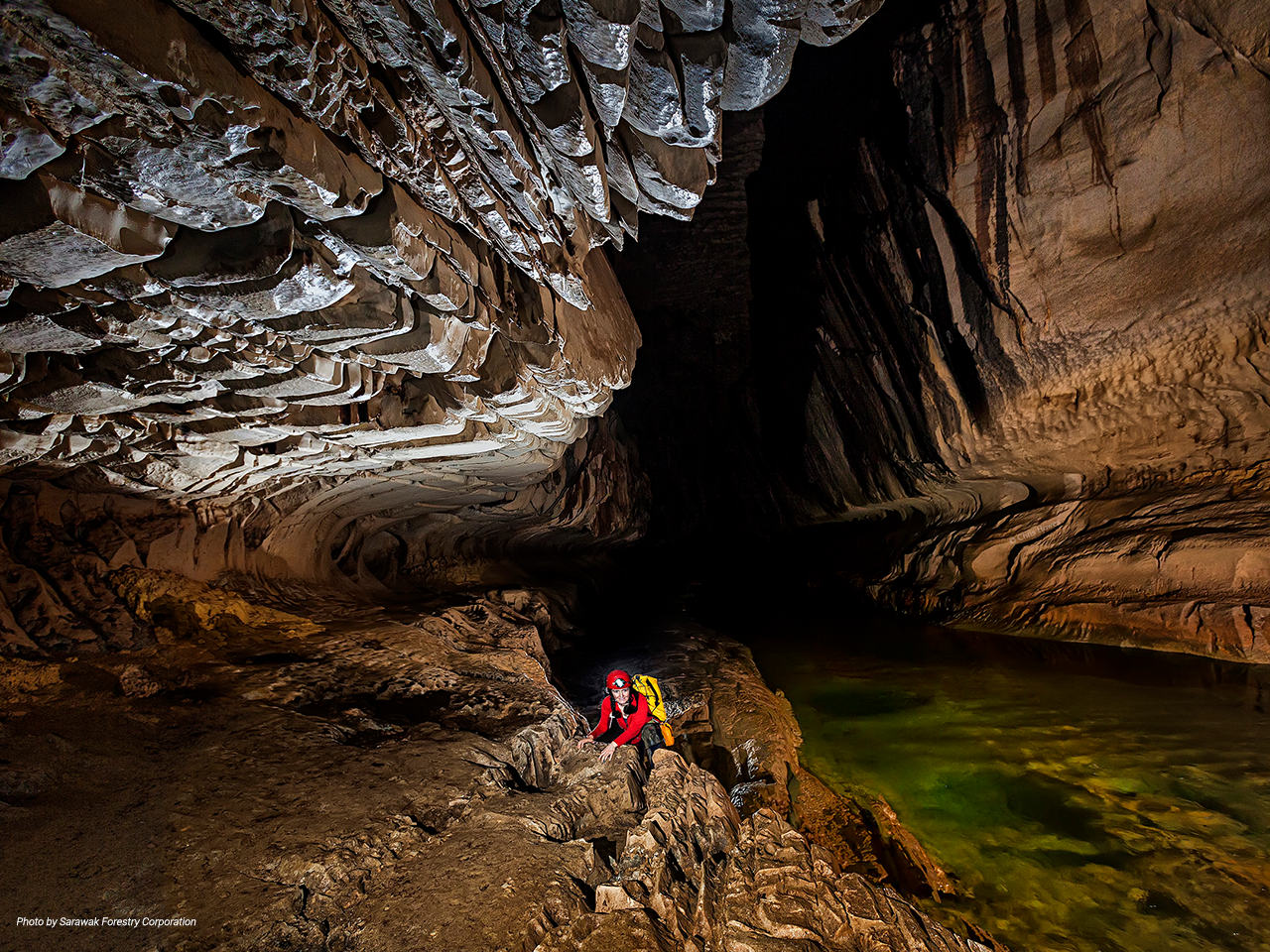 Gunung Mulu National Park